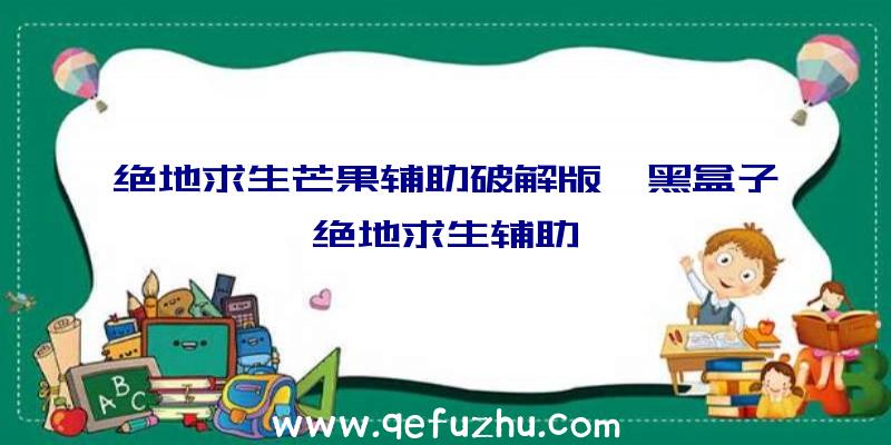 绝地求生芒果辅助破解版、黑盒子绝地求生辅助