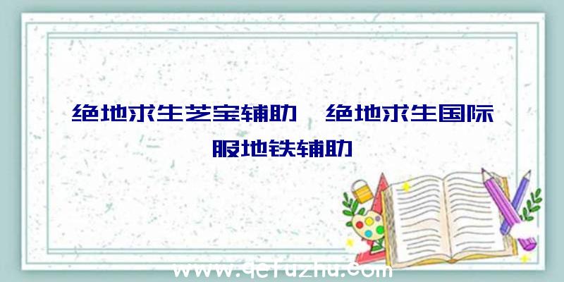 绝地求生芝宝辅助、绝地求生国际服地铁辅助