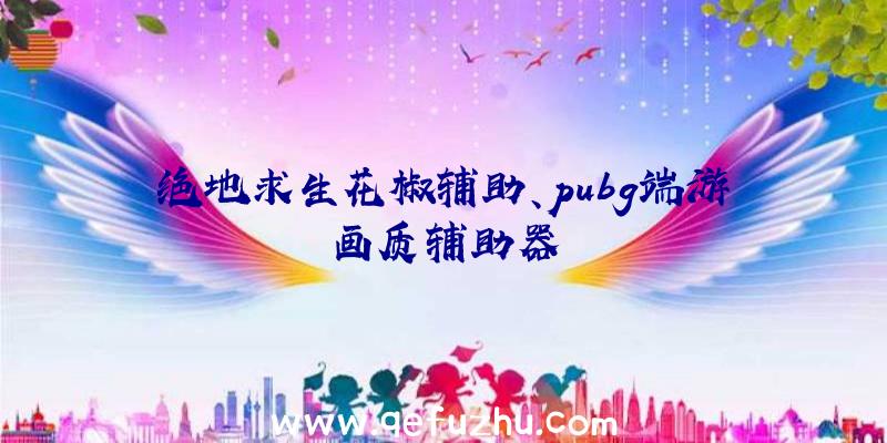 绝地求生花椒辅助、pubg端游画质辅助器