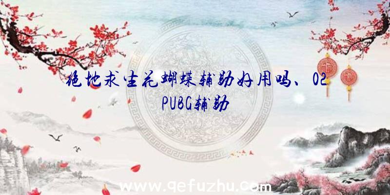 绝地求生花蝴蝶辅助好用吗、02PUBG辅助