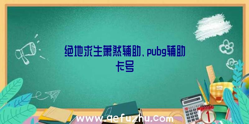 绝地求生萧然辅助、pubg辅助卡号