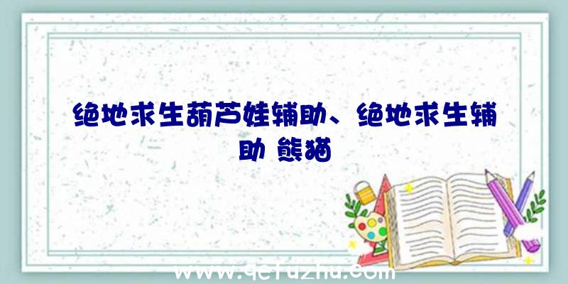 绝地求生葫芦娃辅助、绝地求生辅助