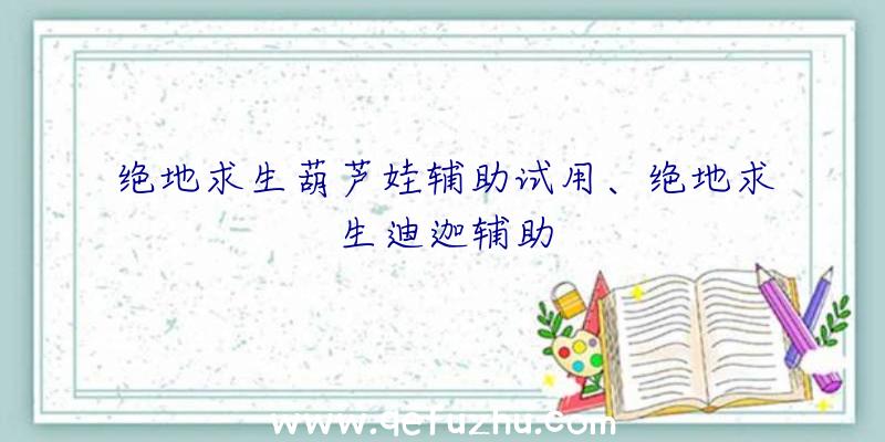 绝地求生葫芦娃辅助试用、绝地求生迪迦辅助