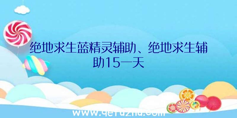 绝地求生蓝精灵辅助、绝地求生辅助15一天