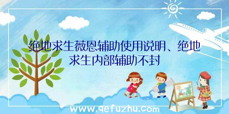 绝地求生薇恩辅助使用说明、绝地求生内部辅助不封