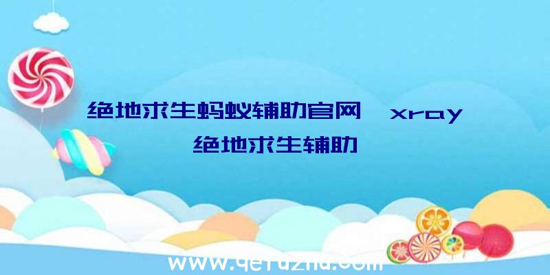 绝地求生蚂蚁辅助官网、xray绝地求生辅助