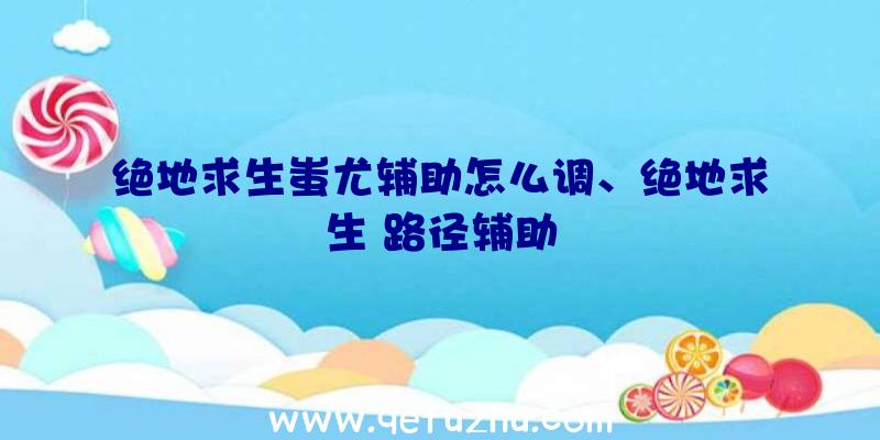 绝地求生蚩尤辅助怎么调、绝地求生