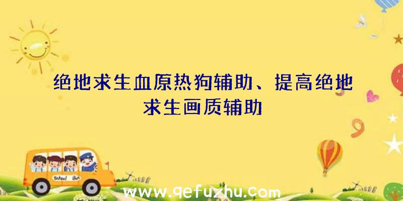 绝地求生血原热狗辅助、提高绝地求生画质辅助