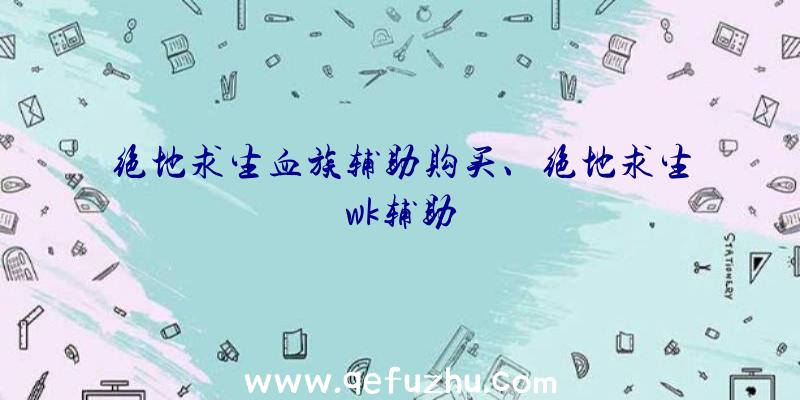 绝地求生血族辅助购买、绝地求生wk辅助