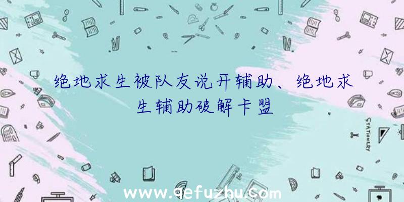 绝地求生被队友说开辅助、绝地求生辅助破解卡盟