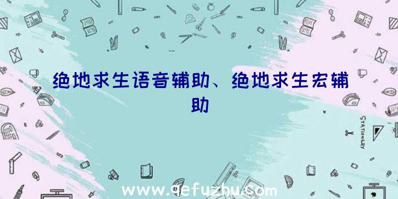 绝地求生语音辅助、绝地求生宏辅助