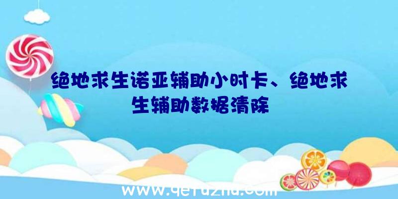 绝地求生诺亚辅助小时卡、绝地求生辅助数据清除