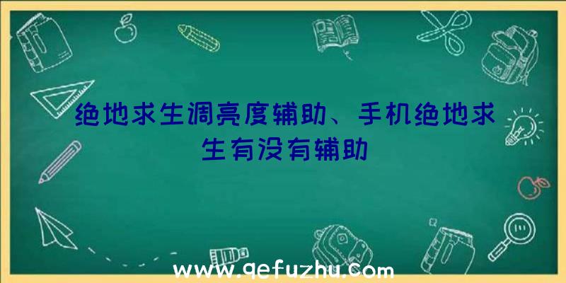 绝地求生调亮度辅助、手机绝地求生有没有辅助