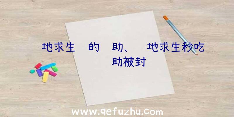 绝地求生贵的辅助、绝地求生秒吃药辅助被封