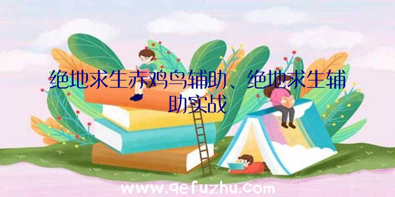 绝地求生赤鸡鸟辅助、绝地求生辅助实战