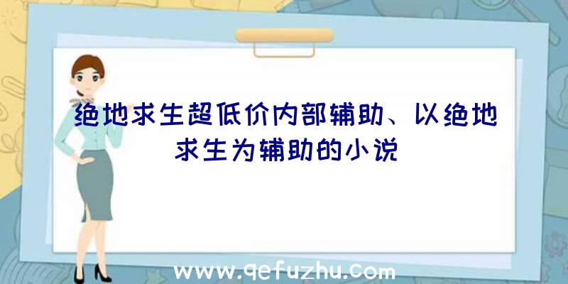 绝地求生超低价内部辅助、以绝地求生为辅助的小说