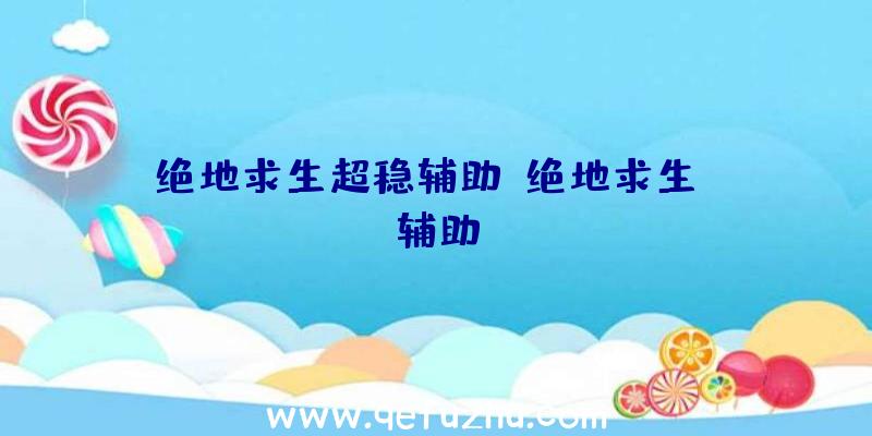 绝地求生超稳辅助、绝地求生wk辅助