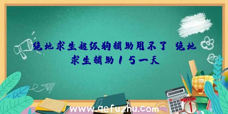 绝地求生超级狗辅助用不了、绝地求生辅助15一天