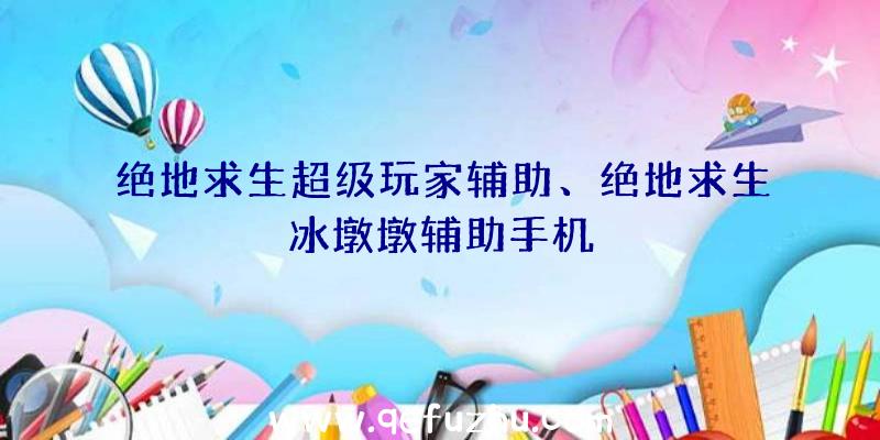 绝地求生超级玩家辅助、绝地求生冰墩墩辅助手机