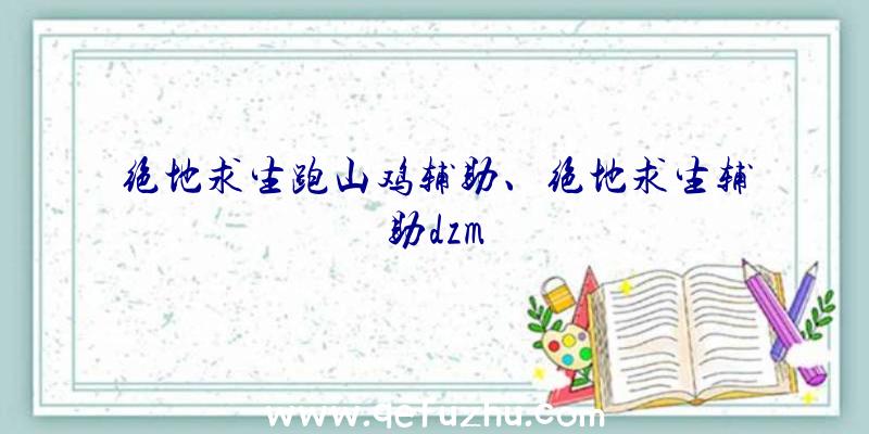 绝地求生跑山鸡辅助、绝地求生辅助dzm