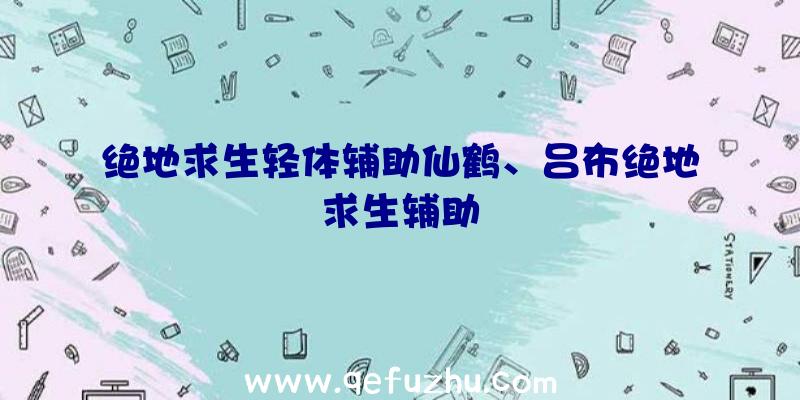 绝地求生轻体辅助仙鹤、吕布绝地求生辅助