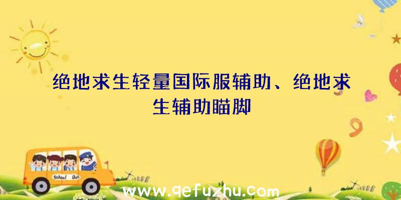 绝地求生轻量国际服辅助、绝地求生辅助瞄脚