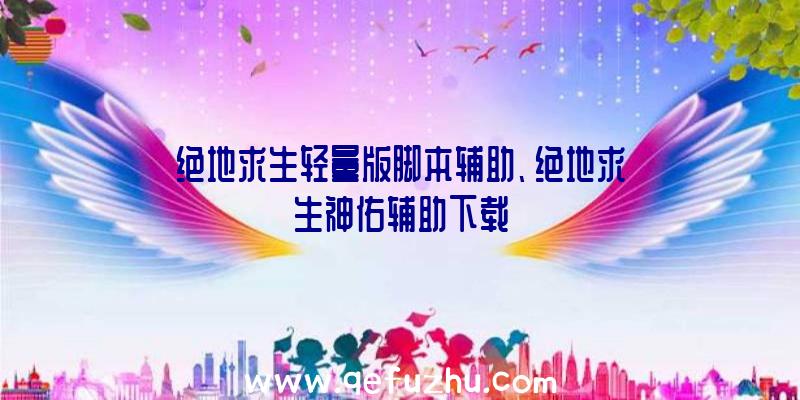 绝地求生轻量版脚本辅助、绝地求生神佑辅助下载