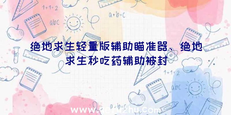 绝地求生轻量版辅助瞄准器、绝地求生秒吃药辅助被封