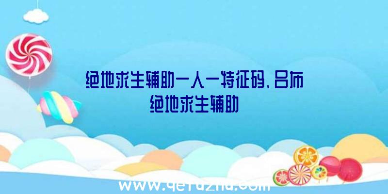 绝地求生辅助一人一特征码、吕布绝地求生辅助