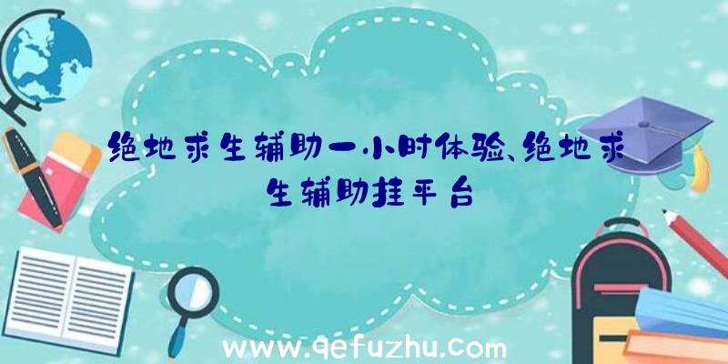 绝地求生辅助一小时体验、绝地求生辅助挂平台