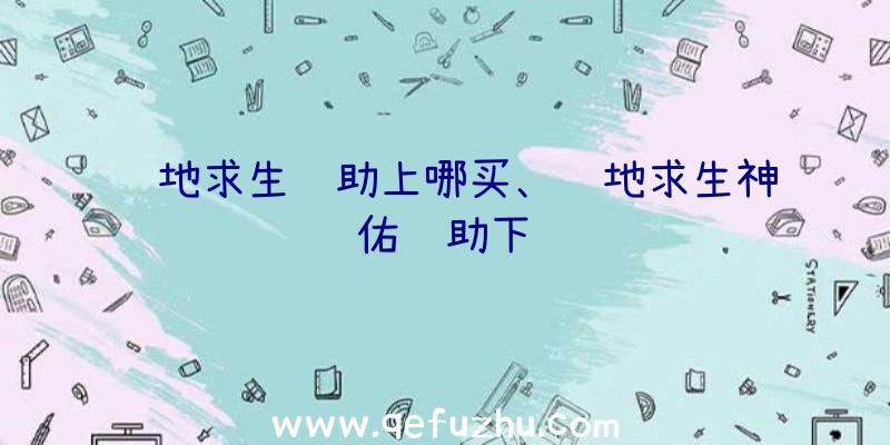 绝地求生辅助上哪买、绝地求生神佑辅助下载