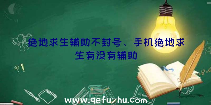 绝地求生辅助不封号、手机绝地求生有没有辅助