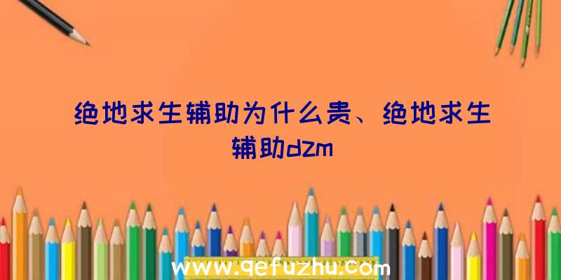 绝地求生辅助为什么贵、绝地求生辅助dzm