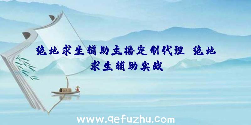 绝地求生辅助主播定制代理、绝地求生辅助实战