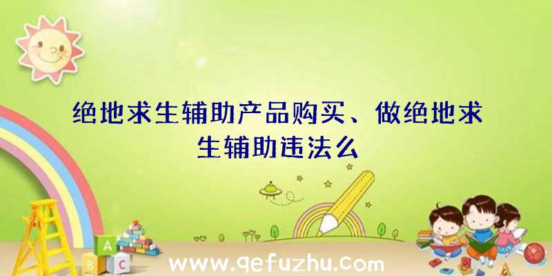 绝地求生辅助产品购买、做绝地求生辅助违法么