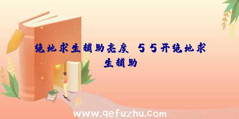 绝地求生辅助亮度、55开绝地求生辅助