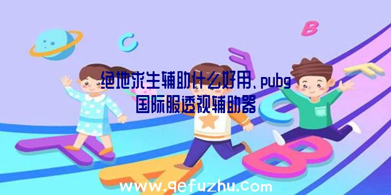 绝地求生辅助什么好用、pubg国际服透视辅助器