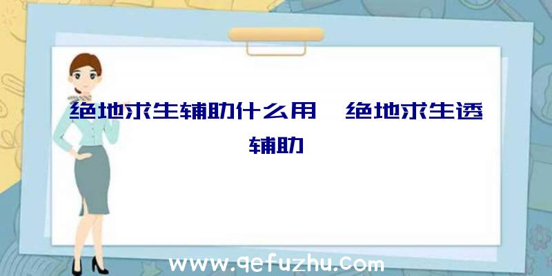 绝地求生辅助什么用、绝地求生透辅助