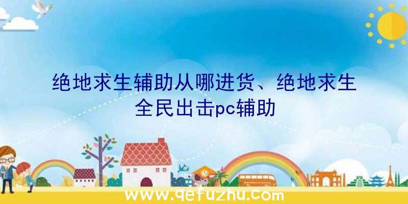 绝地求生辅助从哪进货、绝地求生全民出击pc辅助