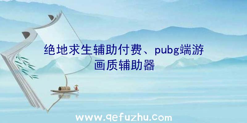 绝地求生辅助付费、pubg端游画质辅助器