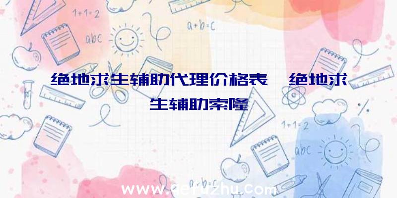 绝地求生辅助代理价格表、绝地求生辅助索隆