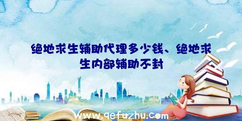 绝地求生辅助代理多少钱、绝地求生内部辅助不封