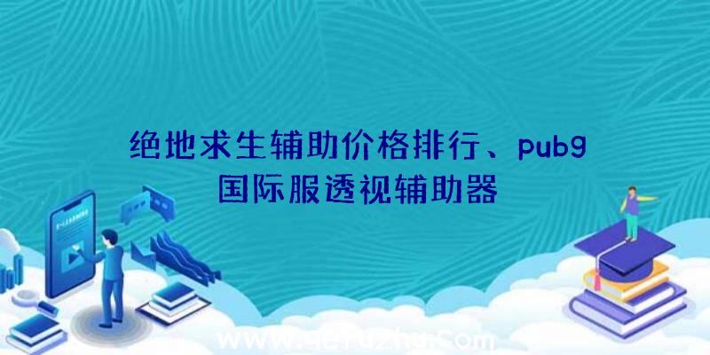 绝地求生辅助价格排行、pubg国际服透视辅助器