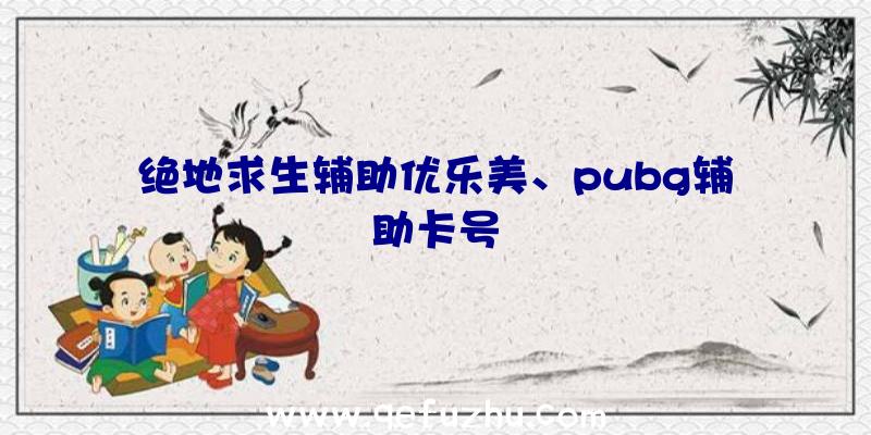 绝地求生辅助优乐美、pubg辅助卡号