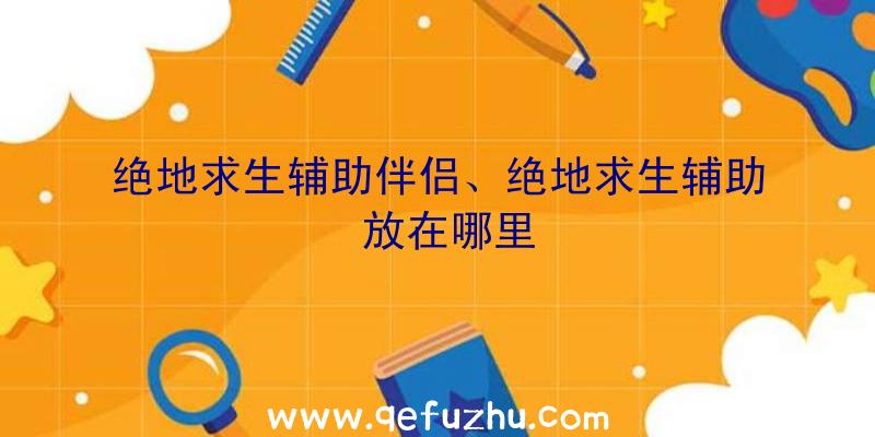 绝地求生辅助伴侣、绝地求生辅助