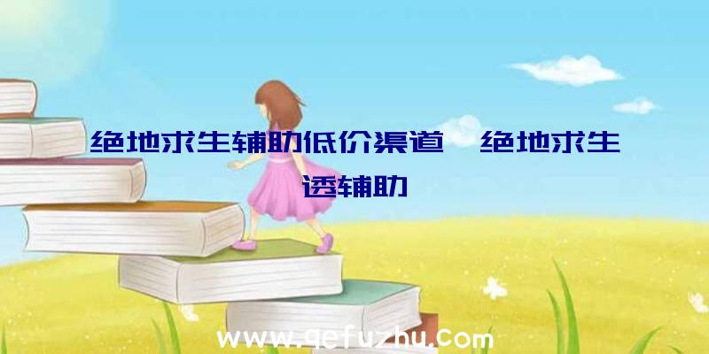 绝地求生辅助低价渠道、绝地求生透辅助