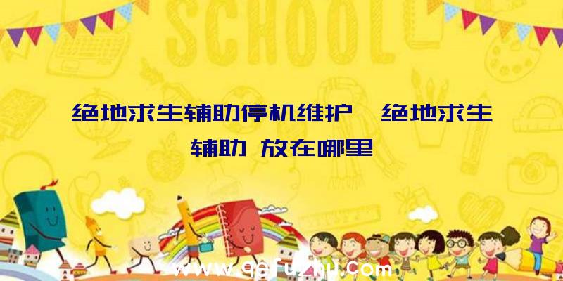 绝地求生辅助停机维护、绝地求生辅助