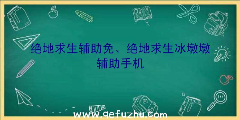 绝地求生辅助免、绝地求生冰墩墩辅助手机