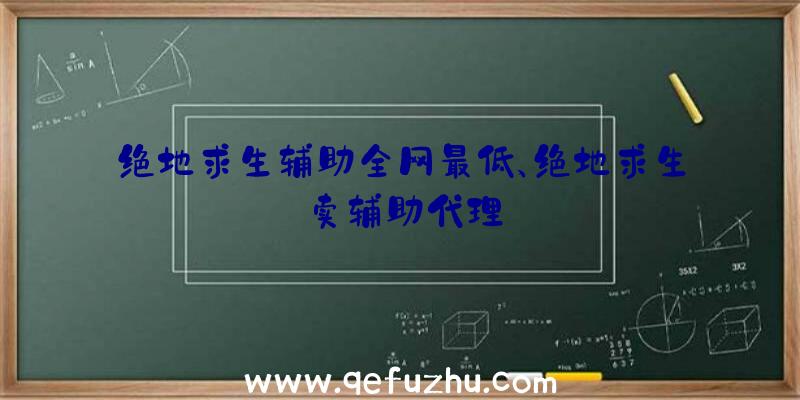 绝地求生辅助全网最低、绝地求生卖辅助代理