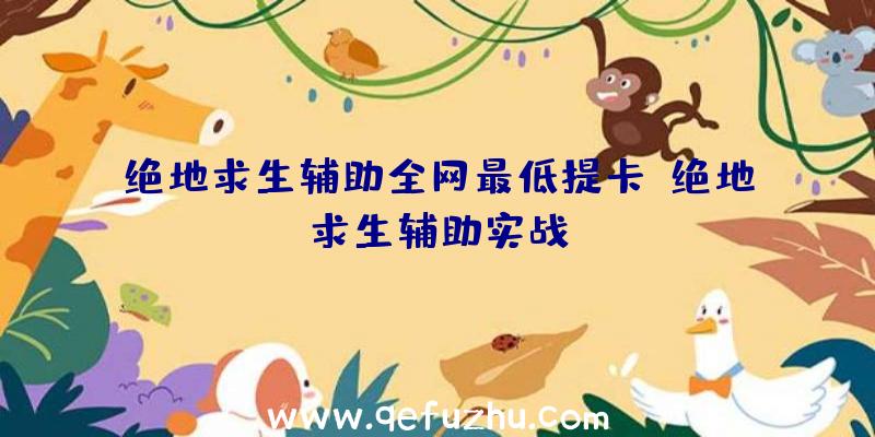 绝地求生辅助全网最低提卡、绝地求生辅助实战